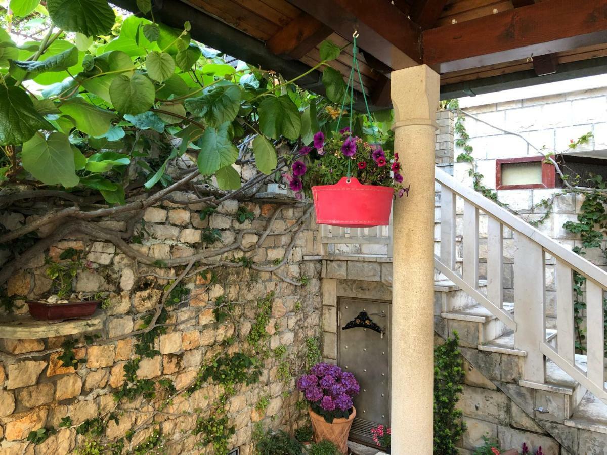Flower House - Lapad Gasthuis Dubrovnik